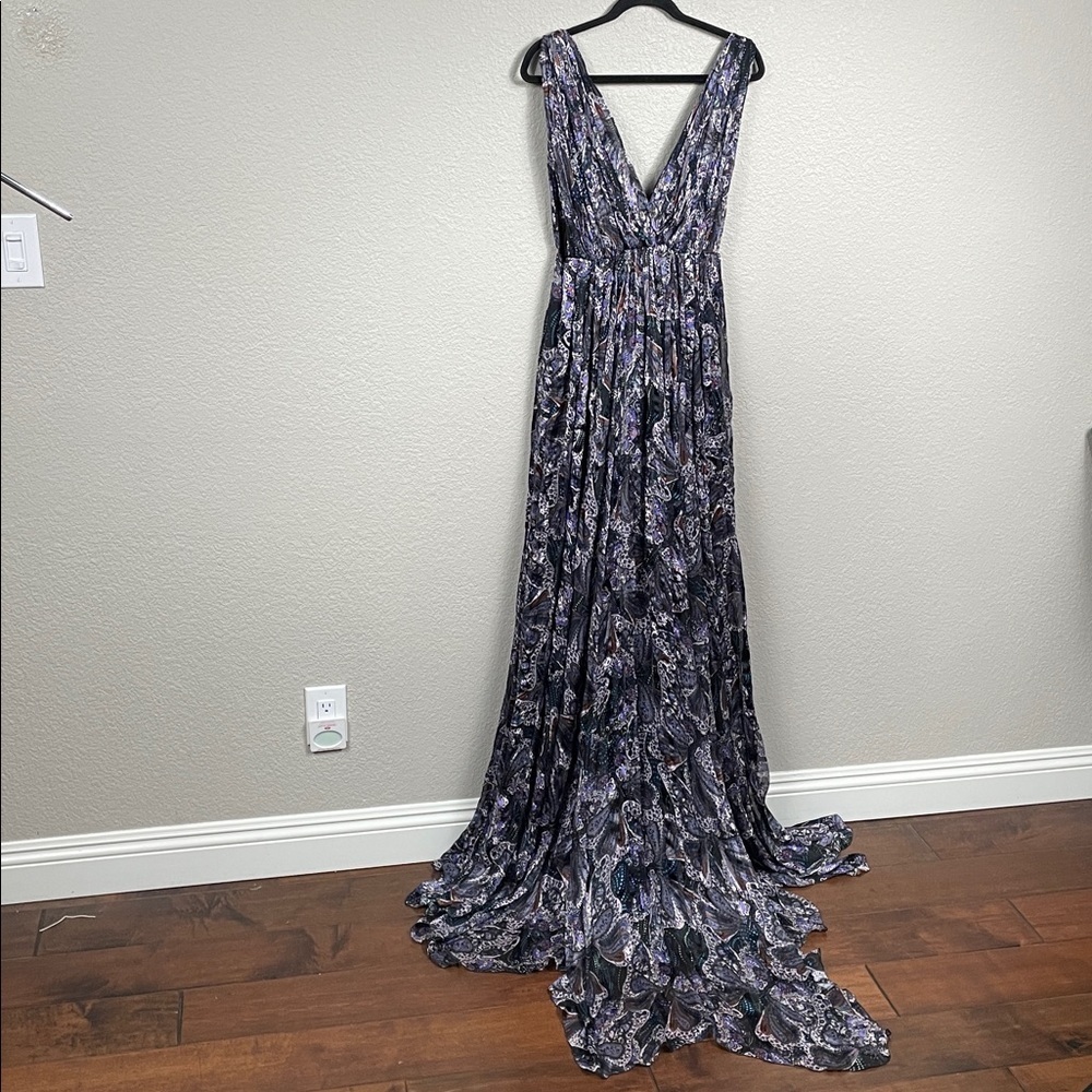 NWT Etro Runway Silk Paisley Deep V Maxi Dress Gown Sz 40 - Picture 5 of 16